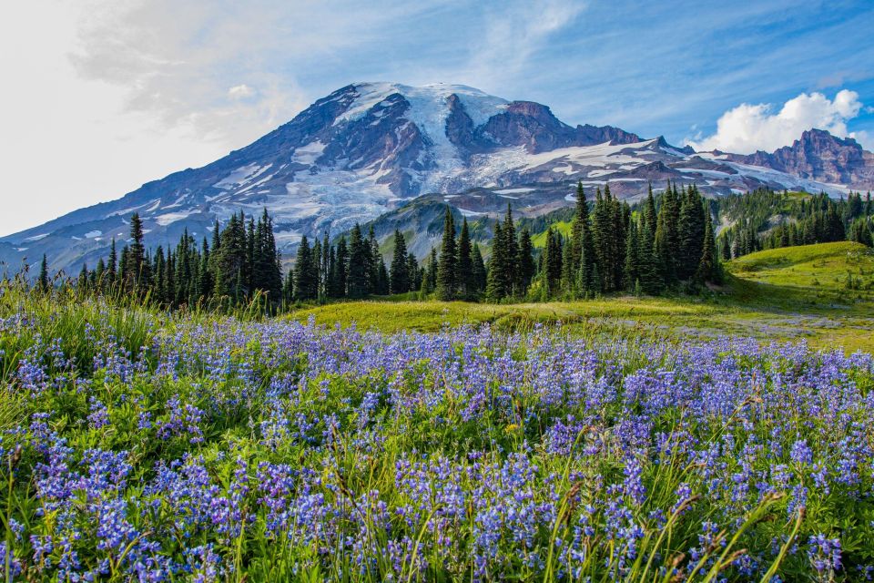 Mount Rainier National Park: Audio Tour Guide - Preparing for Your Visit