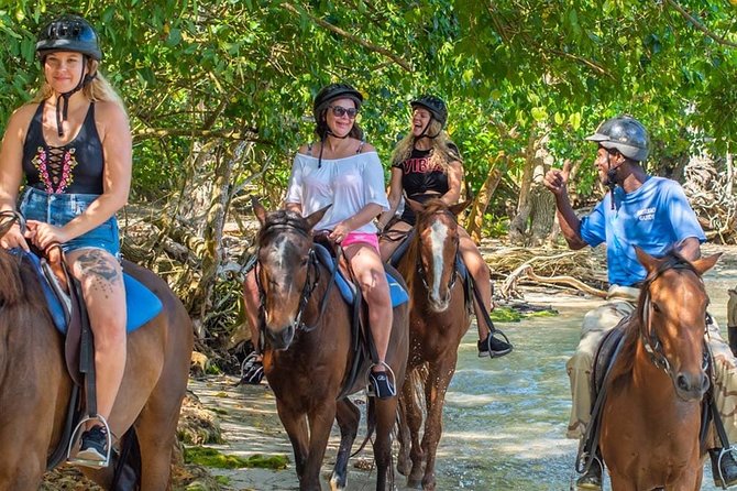 Mountain-To-Sea Horseback Ride and Swim at Sandy Bay - Tips for Enjoyment