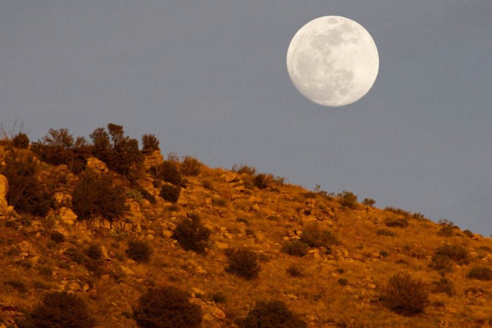 Mt. Lemmon Scenic Byway Self-Guided Audio Tour - Customizable Tour Experience
