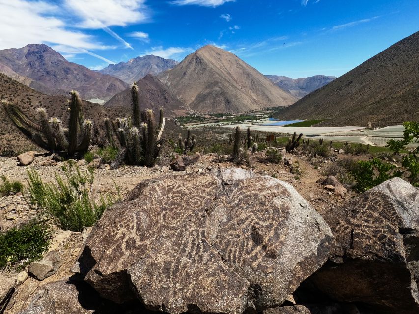 Must-sees of the Elqui Valley - Essential Tips for Visitors