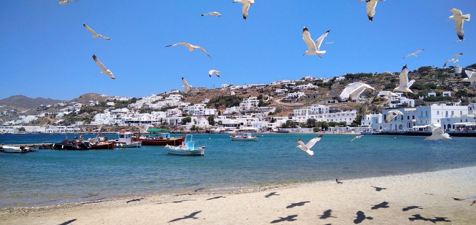 Mykonos: Highlights Tour With Panagia Tourliani Monastery - Booking and Cancellation