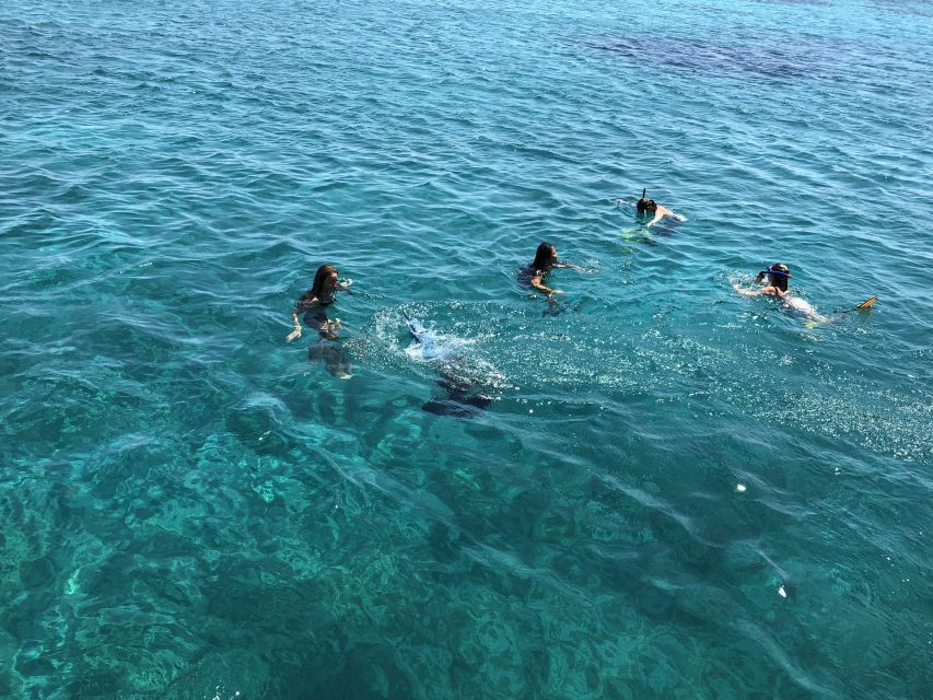 Mykonos: South Beaches & Rhenia Yacht Cruise With Transfers - Important Considerations