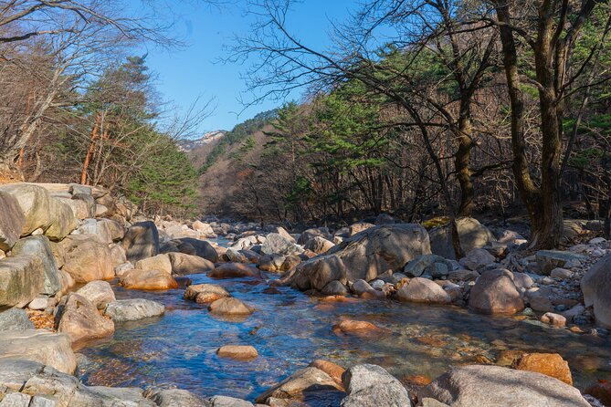 Nami Island & Mount Seorak Day Trip From Seoul - Booking and Reservation Info