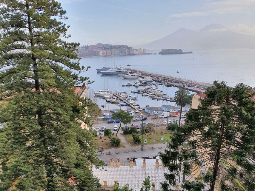 Naples: Naples, Pompeii, and Vesuvius Full-Day Tour - Frequently Asked Questions