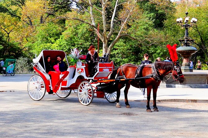 NYC Central Park Horse Carriage Ride (Up to 4 Adults) - Frequently Asked Questions