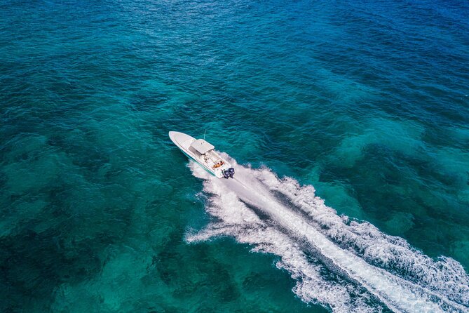 Ocho Rios All-Day Powerboat Adventure - Nearby Attractions
