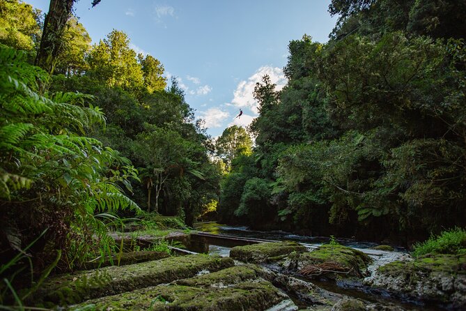 Okere Falls Zipline Experience - Customer Reviews and Ratings
