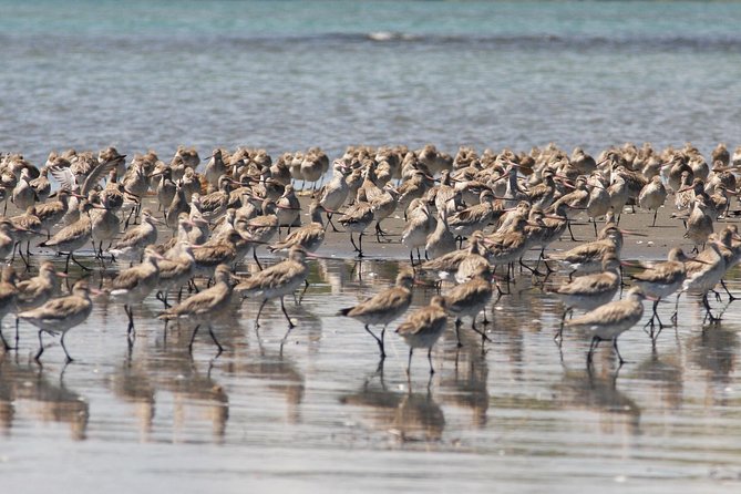 One Day Birding Adventure - Nearby Attractions