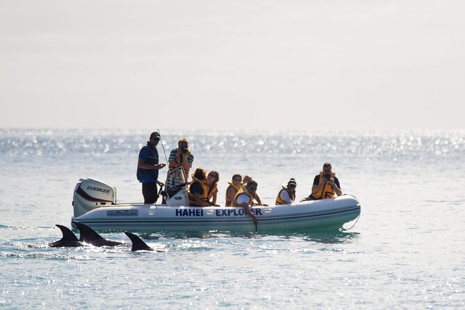One Hour Cathedral Cove Boat Tour in Hahei - Tips for Travelers