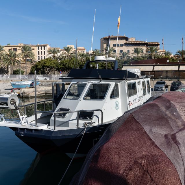 Palma De Mallorca: Local Fishing Activity - Inclusions and Amenities