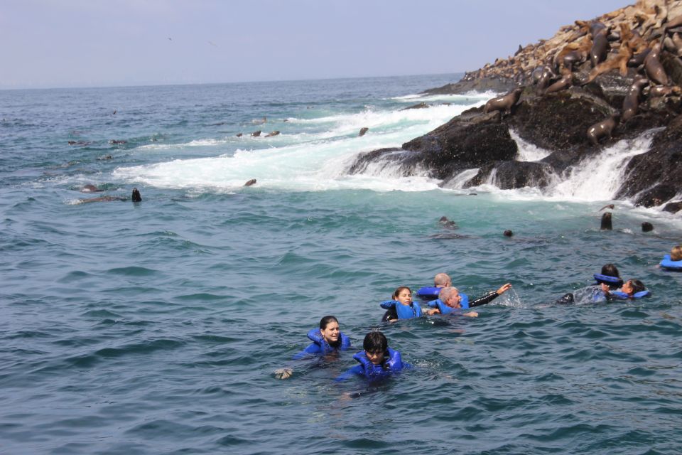 Palomino Islands: Swim With Sea Lions in the Pacific Ocean - Frequently Asked Questions