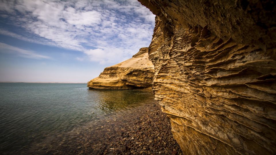 Paracas: Paracas National Reserve Half Day Tour - Visitor Tips and Recommendations