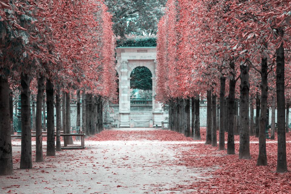Paris Private Full Day Tour - Tickets to Louvre & Lunch - Gastronomic Experience