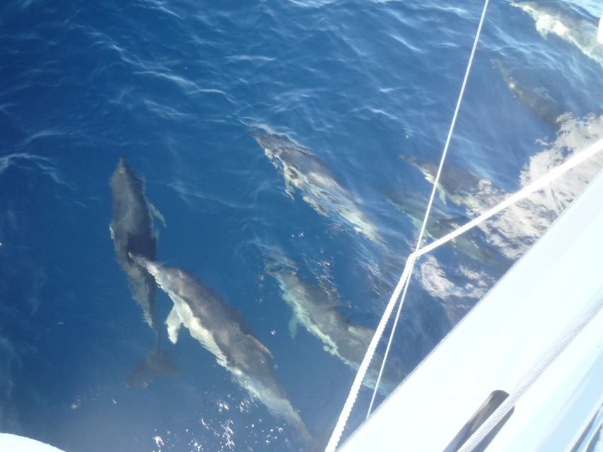 Paros: Iraklia, Schinoussa, & Naxos Sailing Tour With Lunch - Tips for a Great Experience