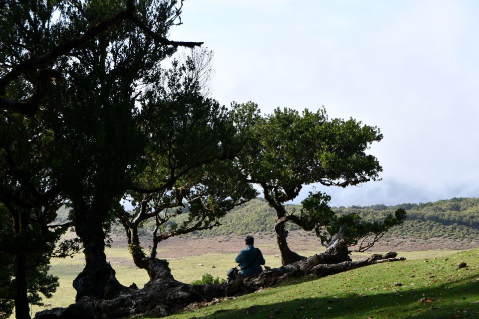 Personalized Tour:Around Madeira Island - Additional Details