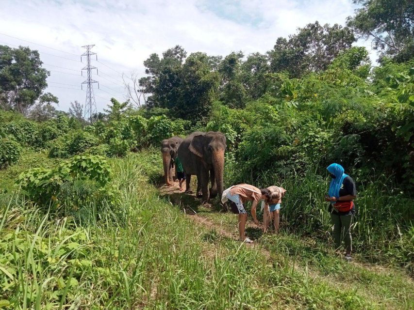 Phuket: Ethical Elephant Sanctuary Eco Guide Walk Tour - Expert Mahout Guidance