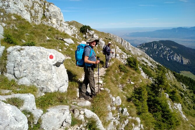 Piatra Craiului National Park Private Hiking Tour From Brasov - Additional Tour Details