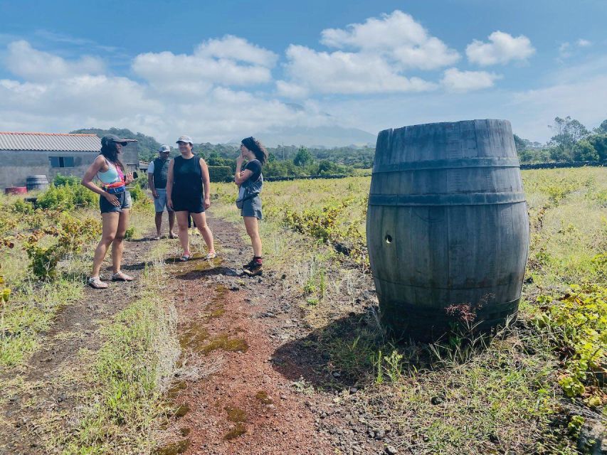 Pico Island: Wine Tasting, Independent Producers & Culture - Practical Information