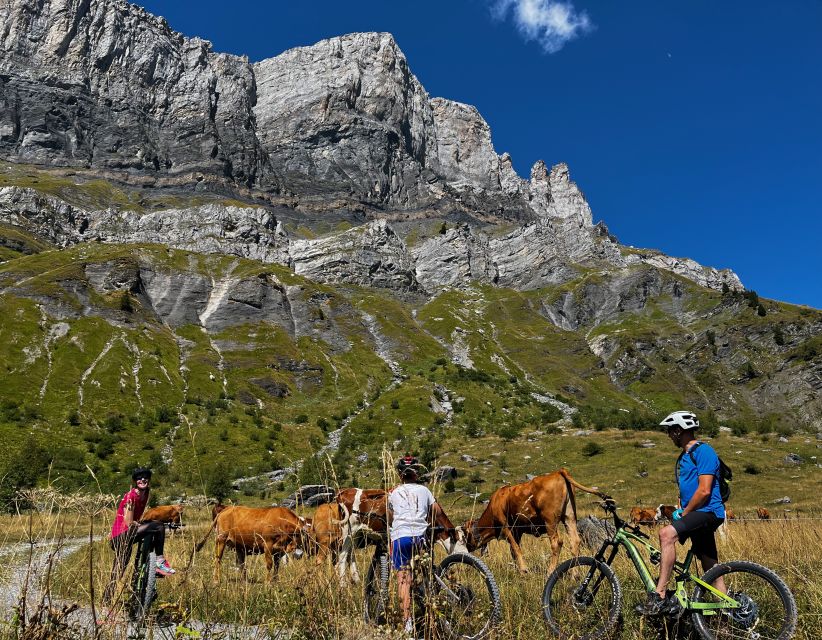 Point of View on the Glaciers of Chamonix by Ebike - Tips for an Enjoyable Ride
