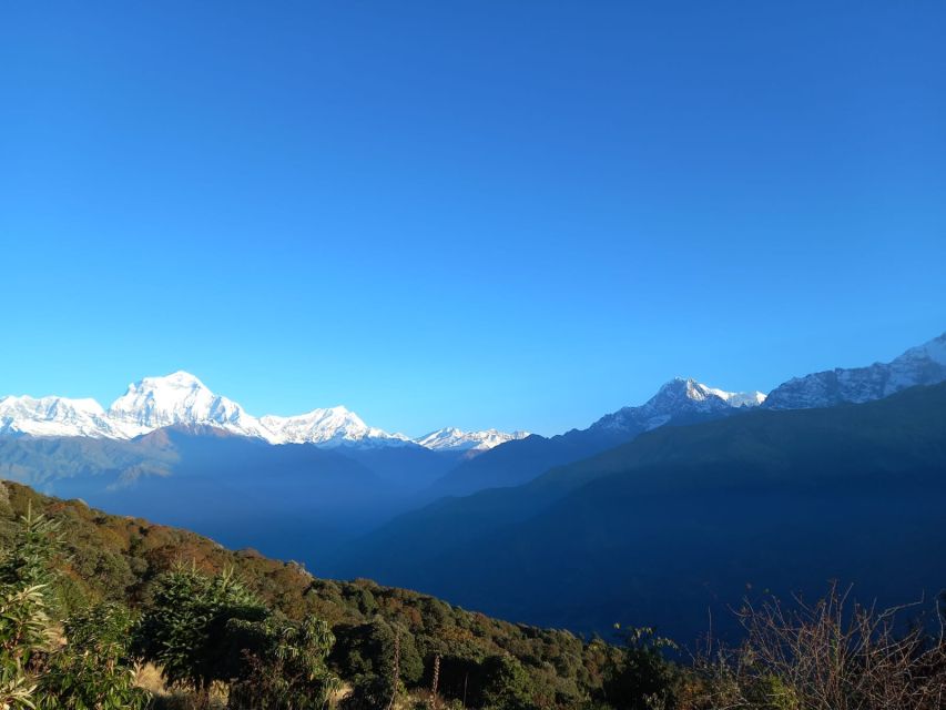 Pokhara: 4-Days Private Annapurna- Poonhill-Ghandruk Trek - Additional Information