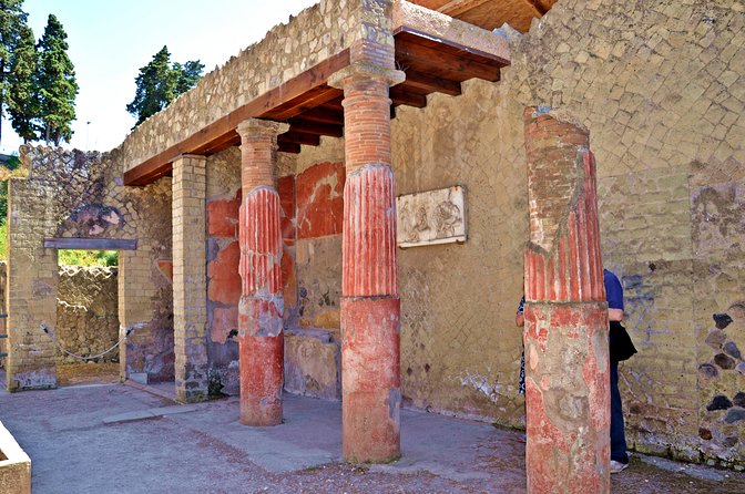 Pompeii and Herculaneum Led by an Archaeologist With Private Transport - Customer Experiences and Reviews