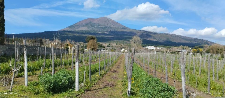 Pompeii and Wine Tasting Tour - Duration and Timing