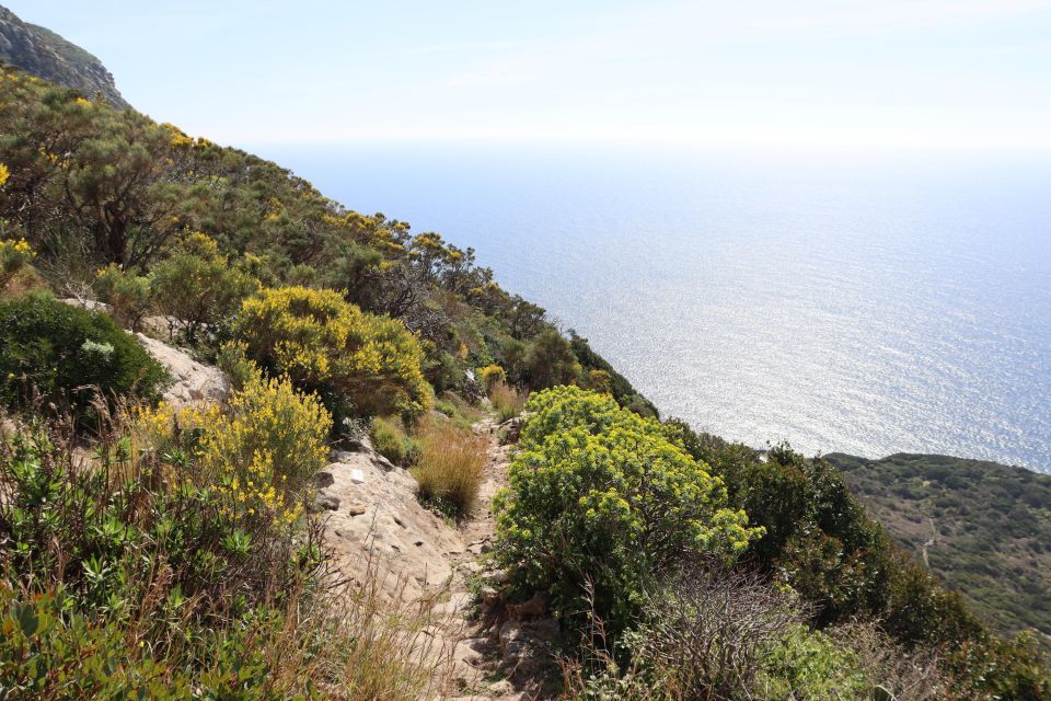 Ponza, Monte Guardia, Guided Nature Walk With a Local Guide - What to Expect