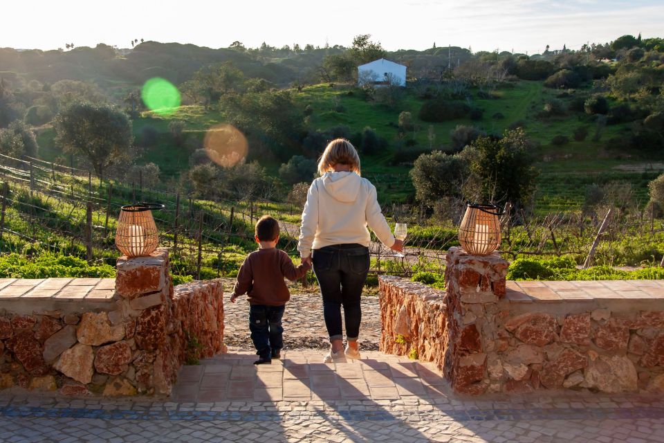 Porches: Algarve Vineyard Tour and Wine Tasting Experience - Important Information for Visitors