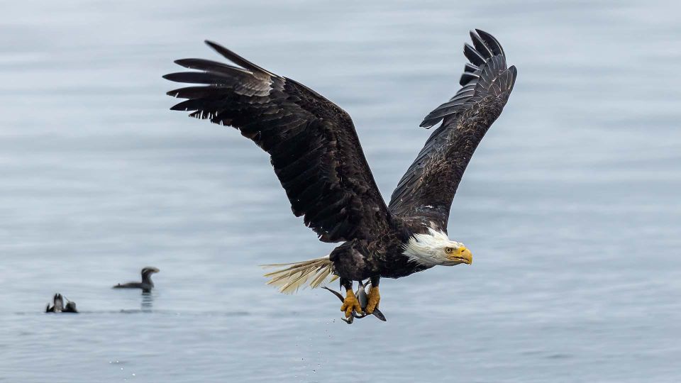 Port Hardy: Sea Otter and Whale Watching - Recommended Attire