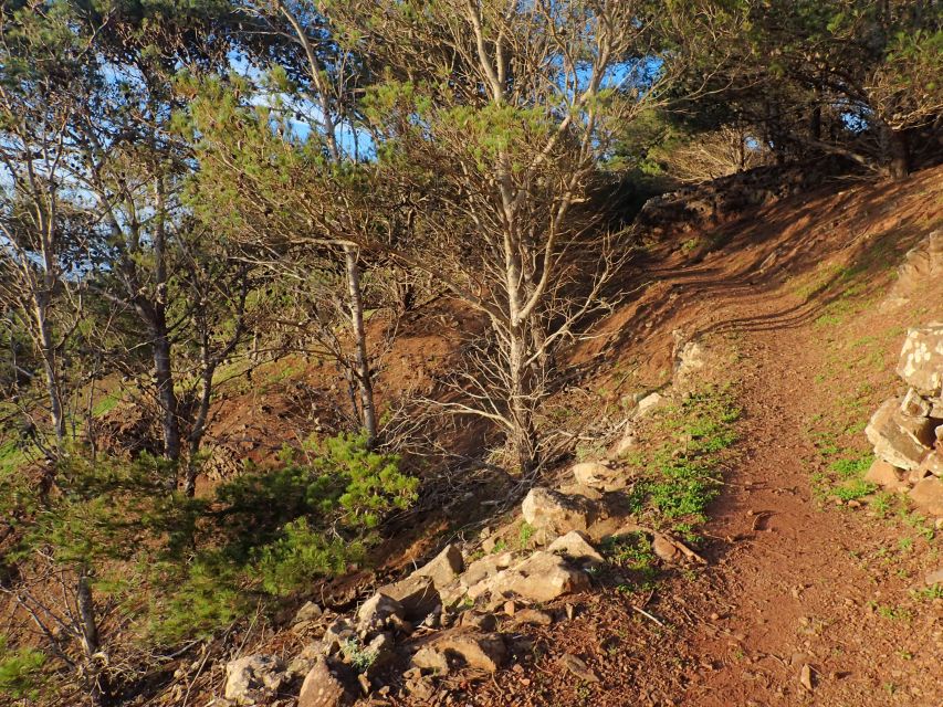 Porto Santo - Pico Do Facho Hiking Tour - Tips for a Great Hike