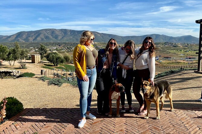 Premium Valle De Guadalupe Wine and Food Tour - Tips for a Great Experience