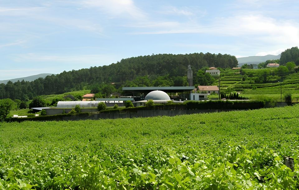 Private Alvarinho Route Tour - Return to Porto