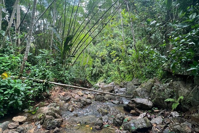 Private Rainforest Hike to Hidden Waterfall Tour With Transport - Booking Your Adventure
