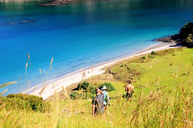 Private Sailing Charter | Bay of Islands | up to 10 People - Safety and Accessibility