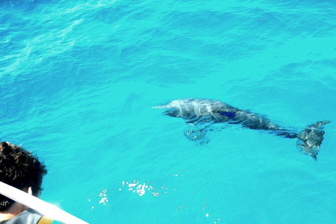 Private Sailing Tour of Pirate Waters and Shipwrecks - Traveler Experiences and Reviews