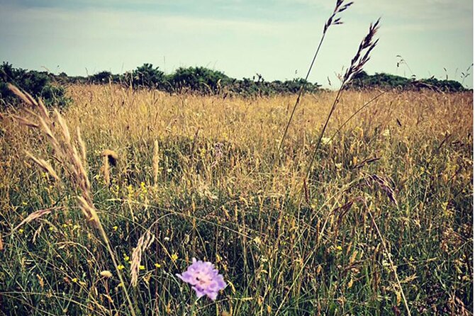 Private Salisbury Plain Off-Road Tour - Highlights and Experiences