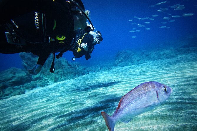 Private Scubadiving With Professional Instructor, Photos Included - Booking and Confirmation