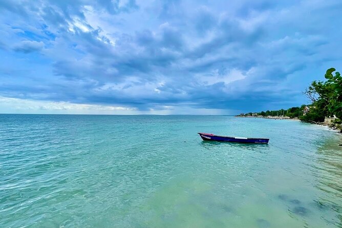 Private Seafood Tour and Floyds Pelican Bar or Black River Safari - Booking Information