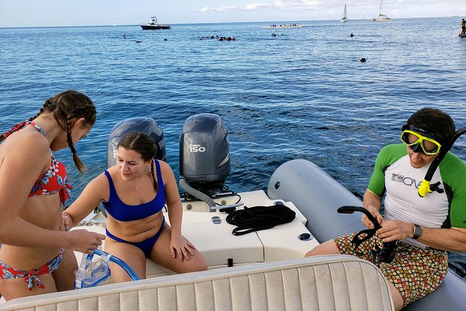 Private Snorkeling and Wildlife on The Adventure Boat - Wildlife Encounters and Sightings