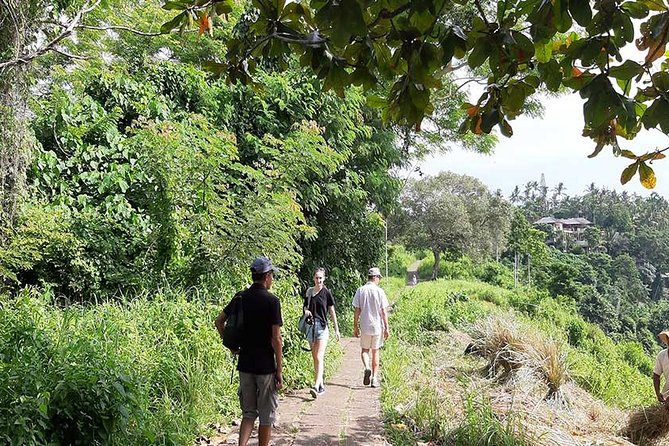 Private Tour: Campuhan Ridge Walk, Ubud Rice Terrace & Ubud Palace - Booking Your Tour