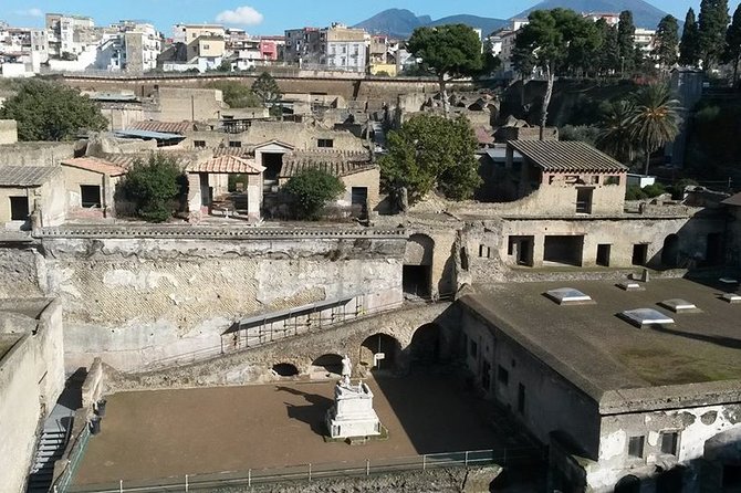 Private Walking Tour Through the Historical City of Herculaneum - Comparing Herculaneum and Pompeii