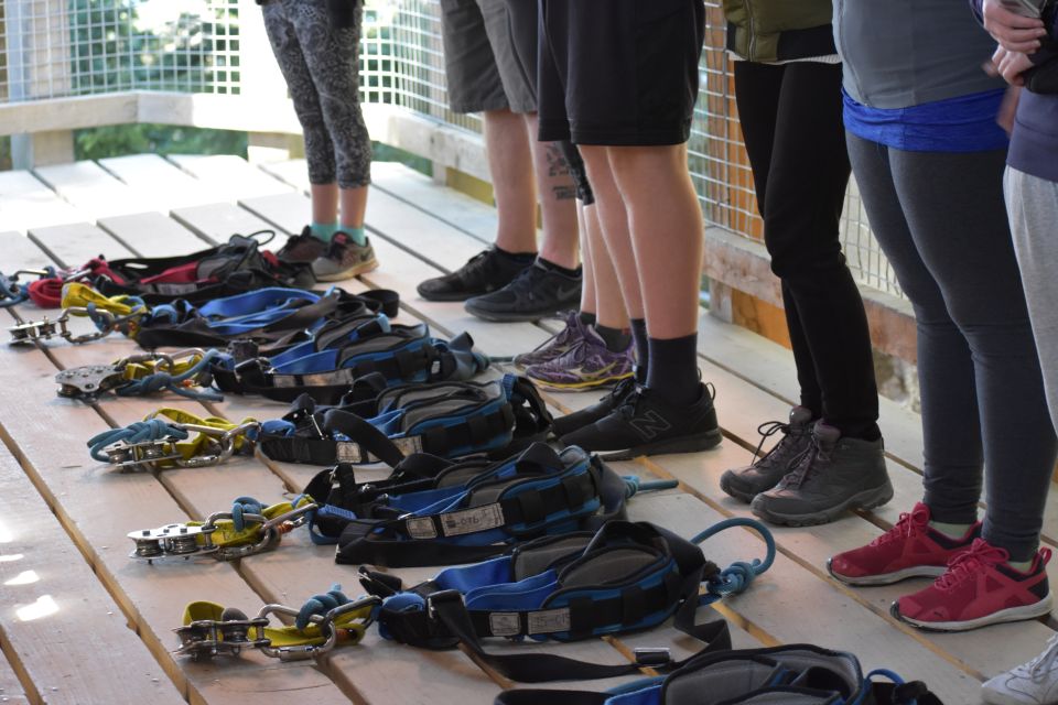 Queenstown: 1-Hour Zipline Tour With 2-Lines & 21-Meter Drop - Customer Reviews and Recommendations