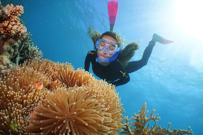 Quicksilver Great Barrier Reef Snorkel Cruise From Port Douglas - Booking Information