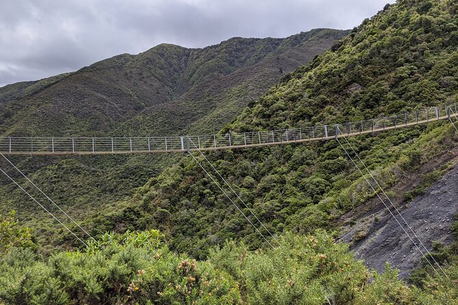 Remutaka Rail Trail Explorer - Ebike Cruise Ship Shore Excursion - Booking and Cancellation Policy