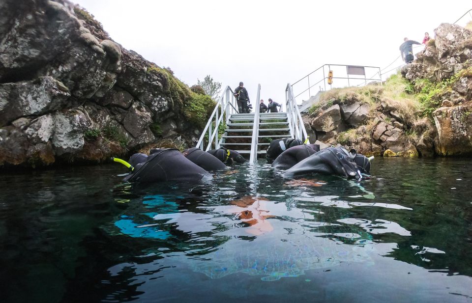 Reykjavík: Silfra Fissure Snorkeling Tour With Photo & Cocoa - Tips for Your Tour