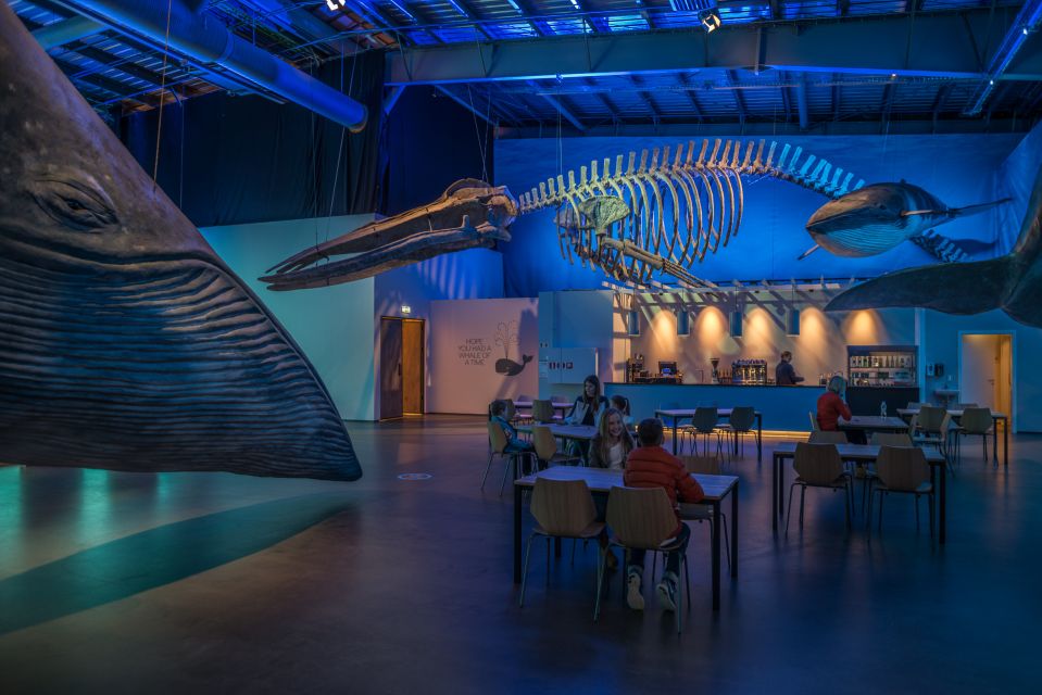 Reykjavik: Whales of Iceland Museum Entrance Ticket - Visitor Reviews