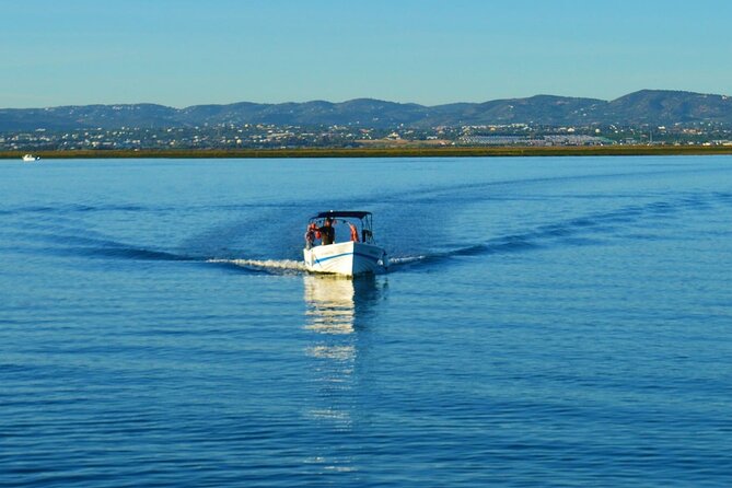 Ria Formosa: 3-Hour Tour With Stops at Culatra Island and Armona Island - Practical Considerations