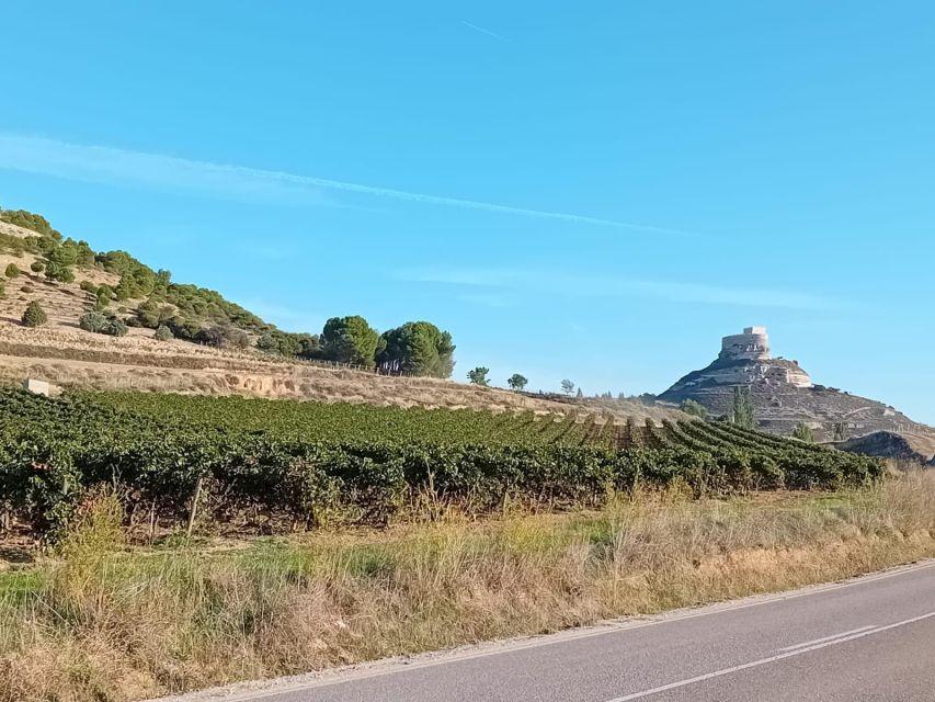 Ribera Del Duero: Wine Tour From Madrid - English or Spanish - Booking and Cancellation Policy