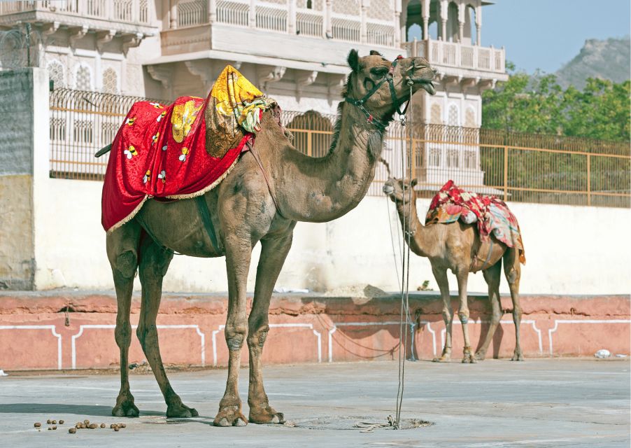 Royal Trails of Jaipur With a Local Half Day Guided Tour - Local Cultural Insights