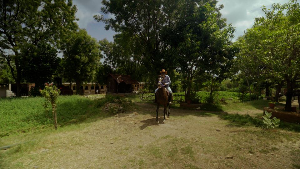 Rural Trail On Marwari Horseback At Private Ranch in 12Acres - Customer Experiences and Feedback